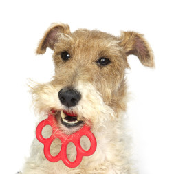 BAMA PET ORMA MINI игрушка для собак, 8 см, резина, цвета в ассортименте