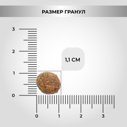 Necon No Gluten Tacchino E Riso безглютеновый сухой корм для взрослых собак всех пород с индейкой и рисом - 12 кг