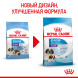 Royal Canin Giant Starter сухой корм для щенков до 2 месяцев, беременных и лактирующих собак гигантских пород - 15 кг