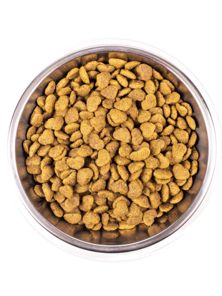 Monge Cat Hairball сухой корм для взрослых кошек для выведения комков шерсти 1,5 кг