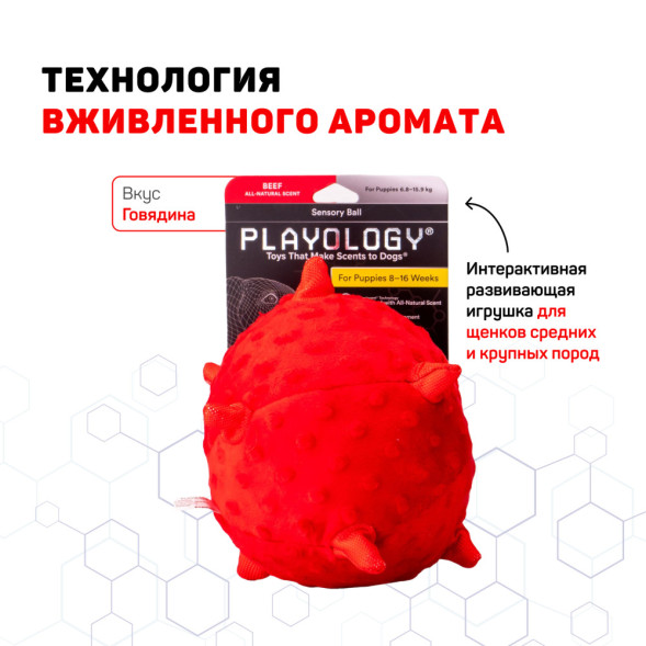 Playology PUPPY SENSORY BALL сенсорный плюшевый мяч для щенков с ароматом говядины, 15 см, красный