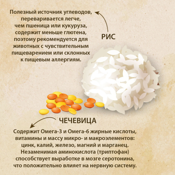 Prime Ever Fresh Meat Adult Dog Medium&amp;amp;Maxi полнорационный сухой корм для взрослых собак средних и крупных пород с индейкой и рисом - 12 кг