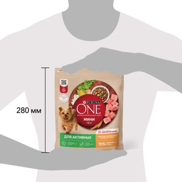 Сухой корм Purina ONE для собак мелких пород с активным образом жизни с курицей и рисом 600г