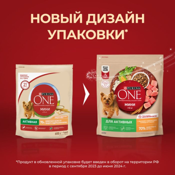 Сухой корм Purina ONE для собак мелких пород с активным образом жизни с курицей и рисом 600г