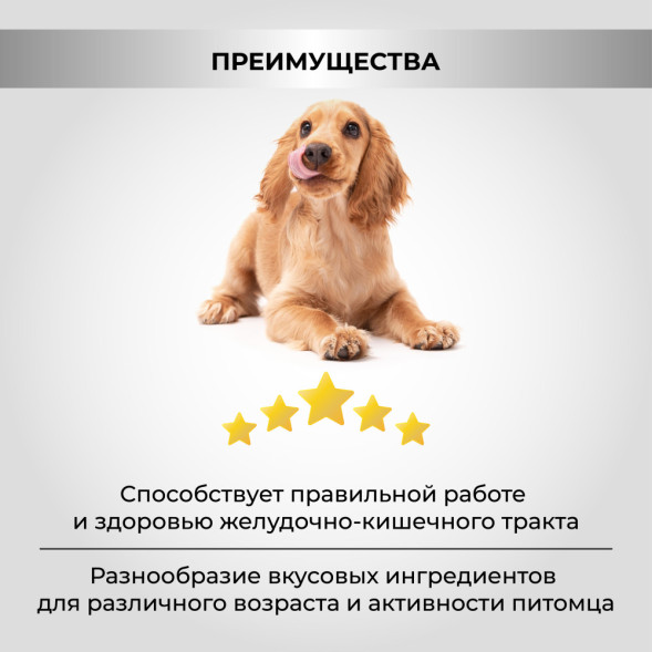 Necon No Gluten Tacchino E Riso безглютеновый сухой корм для взрослых собак всех пород с индейкой и рисом - 3 кг