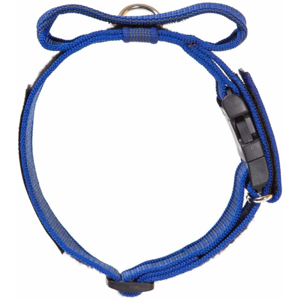 Julius-K9 ошейник для собак Color &amp;amp; Gray, 47-67 см/5 см, закрытая ручка + скрытый локер, синий