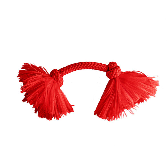 Playology DRI-TECH ROPE жевательный канат для собак мелких пород с ароматом говядины, маленький, красный