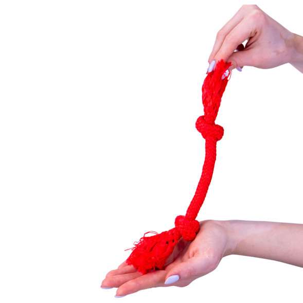 Playology DRI-TECH ROPE жевательный канат для собак мелких пород с ароматом говядины, маленький, красный