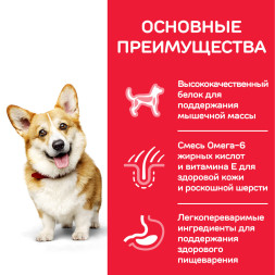 Сухой корм Hills Science Plan для взрослых собак мелких пород для поддержания здоровья кожи и шерсти , с курицей - 300 г