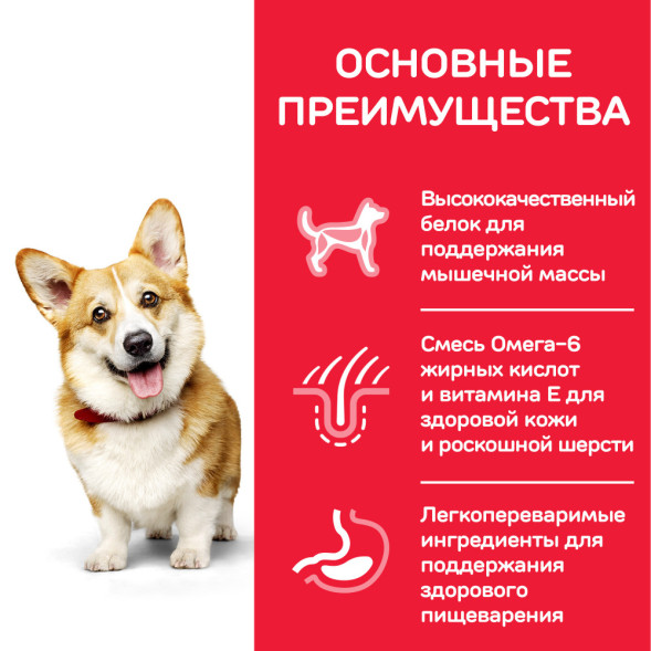 Сухой корм Hills Science Plan для взрослых собак мелких пород для поддержания здоровья кожи и шерсти , с курицей - 300 г