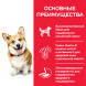 Сухой корм Hills Science Plan для взрослых собак мелких пород для поддержания здоровья кожи и шерсти , с курицей - 300 г