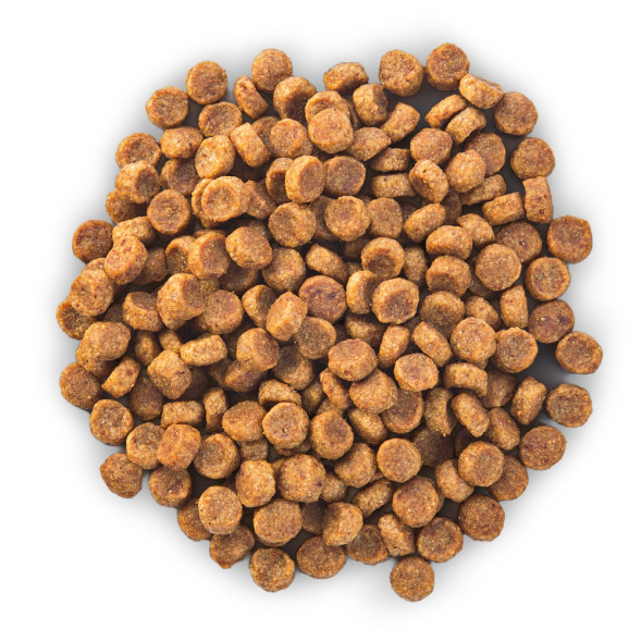 Сухой корм Hills Science Plan для взрослых собак мелких пород для поддержания здоровья кожи и шерсти , с курицей - 300 г