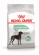 Royal Canin Maxi Digestive Care сухой корм для собак крупных пород с чувствительным пищеварением - 12 кг