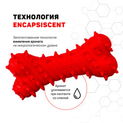 Playology PUPPY TEETHING BONE дентальная хрустящая жевательная косточка для щенков с ароматом говядины, красный