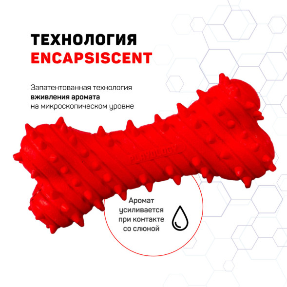 Playology PUPPY TEETHING BONE дентальная хрустящая жевательная косточка для щенков с ароматом говядины, красный