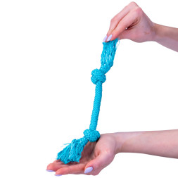 Playology DRI-TECH ROPE жевательный канат для собак мелких пород с ароматом арахиса, маленький, голубой