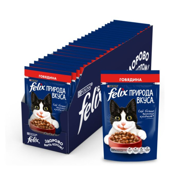 Влажный корм  Felix Природа вкуса для взрослых кошек, с говядиной в соусе 75г х 26
