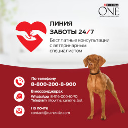 Purina ONE сухой корм для щенков для средних и крупных пород с курицей и рисом - 1,8 кг