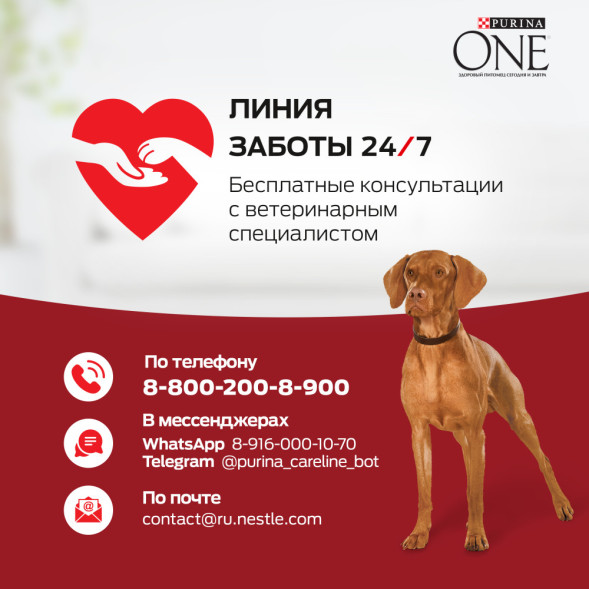 Purina ONE сухой корм для щенков для средних и крупных пород с курицей и рисом - 1,8 кг
