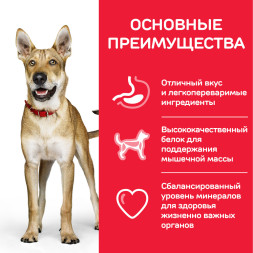 Сухой корм Hills Science Plan Performance для взрослых собак для поддержания жизненной энергии и иммунитета, с курицей - 12 кг