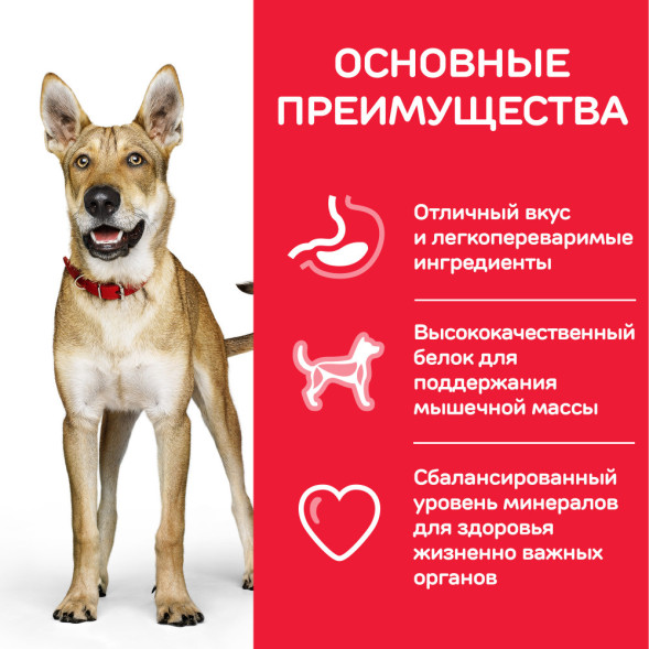 Сухой корм Hills Science Plan Performance для взрослых собак для поддержания жизненной энергии и иммунитета, с курицей - 12 кг