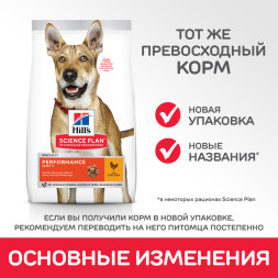 Сухой корм Hills Science Plan Performance для взрослых собак для поддержания жизненной энергии и иммунитета, с курицей - 12 кг