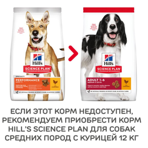 Сухой корм Hills Science Plan Performance для взрослых собак для поддержания жизненной энергии и иммунитета, с курицей - 12 кг