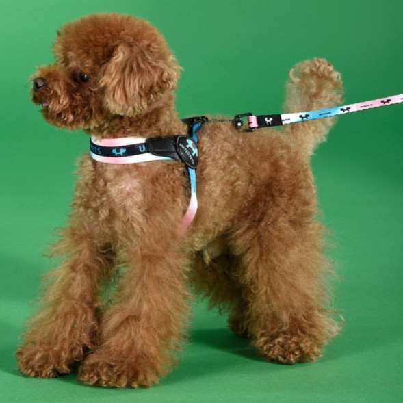 United Pets Complete me поводок для собак, 16х1400 мм, розово-голубой тай-дай