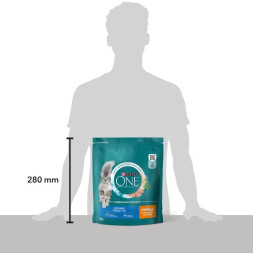Сухой корм Purina ONE для кошек старше 11 лет с курицей и цельными злаками, 750 г