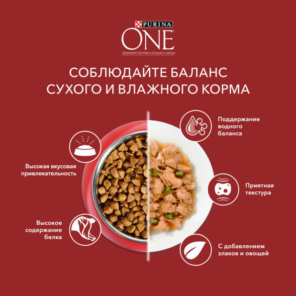 Purina ONE Мини сухой корм для собак мелких пород при чувствительном пищеварении с лососем - 600 г