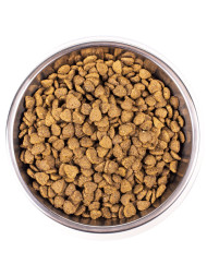 Monge Cat Indoor сухой корм для взрослых кошек постоянно живущих в помещении 1,5 кг