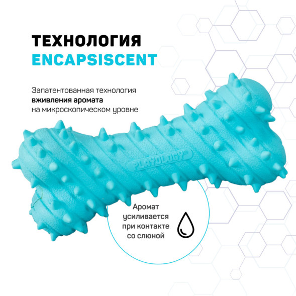 Playology PUPPY TEETHING BONE дентальная хрустящая жевательная косточка для щенков с ароматом арахиса, голубой