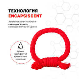 Playology DRI-TECH RING жевательное кольцо-канат для собак средних и крупных пород с ароматом говядины, красное