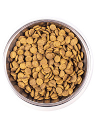 Monge Cat Adult сухой корм для для взрослых кошек с курицей 400 г