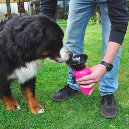 Camon поилка дорожная, для кошек и собак, 550 мл, розовая