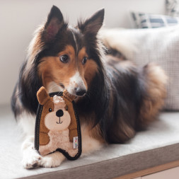 OutwardHound Invinc Mini игрушка для собак Щенок, 17 см, без наполнителя