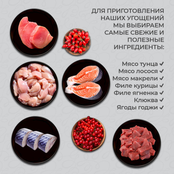 Prime Ever Holistic влажный корм для взрослых кошек с тунцом и макрелью в соусе, в паучах - 85 г х 24 шт