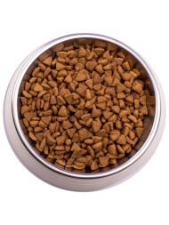 Gemon Kitten сухой корм для котят с курицей и рисом 1,5 кг