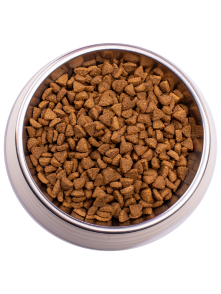 Gemon Kitten сухой корм для котят с курицей и рисом 1,5 кг