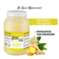Iv San Bernard Fruit of the Groomer Ginger&amp;amp;Elderbery шампунь для любого типа шерсти против раздражений и перхоти - 3,25 л