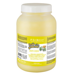 Iv San Bernard Fruit of the Groomer Ginger&amp;amp;Elderbery шампунь для любого типа шерсти против раздражений и перхоти - 3,25 л