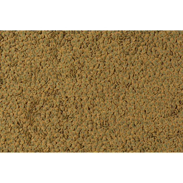 Tetra Pleco Veggie Wafers корм пластинки для донных рыб с добавлением цуккини - 15 г