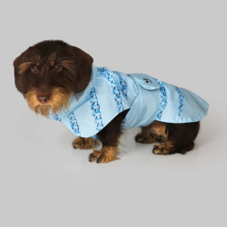 United Pets Easy 50 дождевик для собак, голубой с голубым рисунком