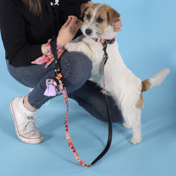 United Pets Complete me Forever ошейник для собак, S 26-40/1,6 см, оранжевый с рисунком