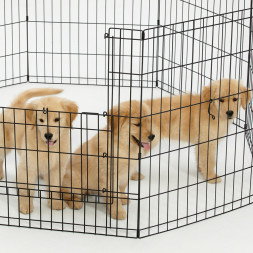 MidWest вольер Life Stages 8 панелей с дверью-MAXLock черный 61х76 см