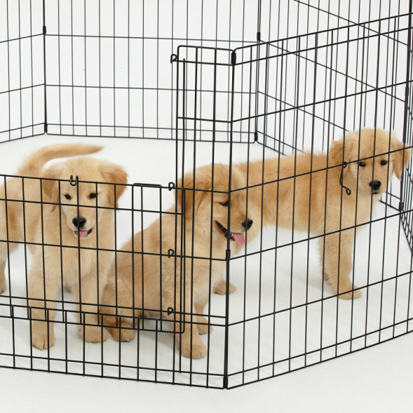 MidWest вольер Life Stages 8 панелей с дверью-MAXLock черный 61х76 см