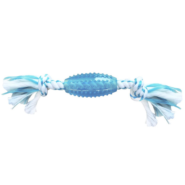 Canine Clean игрушка для собак Регби с ароматом мяты, из синтетической резины с канатом, 25 см, голубая