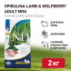 Farmina N&amp;amp;D Dog Spirulina Lamb &amp;amp; Wolfberry Adult Mini сухой корм для взрослых собак мелких пород, с ягненком и ягодами годжи - 2 кг