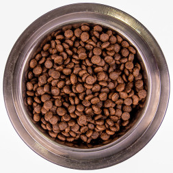 Monge Dog BWild Low Grain Puppy сухой низкозерновой корм для щенков всех пород с мясом оленя - 12 кг