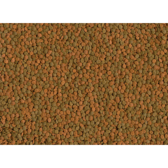 TetraWaferMix Mini корм в мини-чипсах для всех мелких донных рыб 100 мл